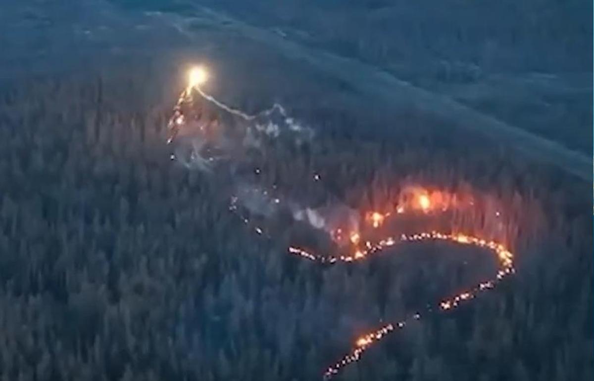 Un dron dragón incendia posiciones rusas en un bosque de Donetsk